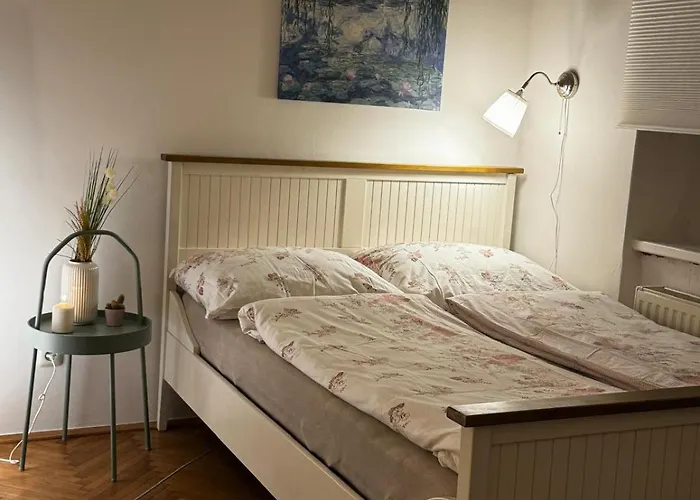 Comfy Room In Salzburg Center