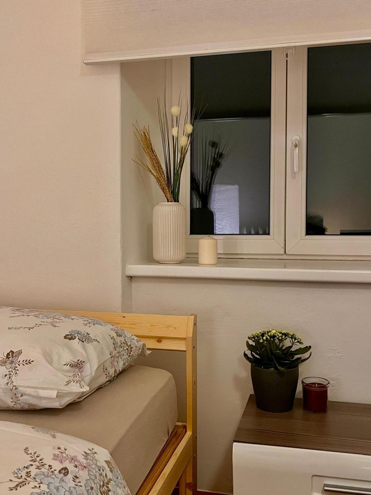 Comfy In Center Solnohrad